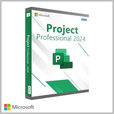 Project Professional 2024