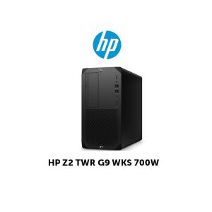 HP Z2 TWR G9 WKS 700W