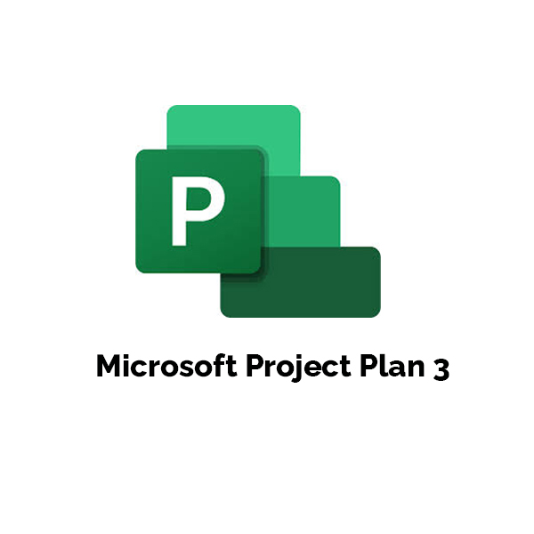 Microsoft Project Plan 3