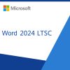 MS Word LTSC
