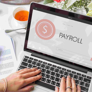 Payroll Software